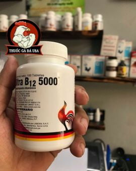 Thuốc Nuôi Gà Đá Ultra B12 5000 